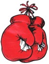 Boxing Gloves